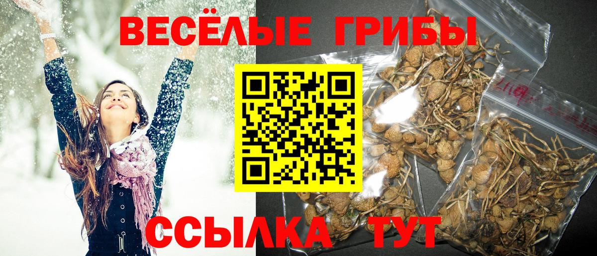 Тавда  Галлюциногенные грибы прущие грибы  Вход с VPN  Галлюциногенные грибы мухоморы 